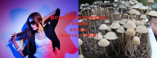 MDMA Дмитровск