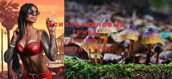 MDMA Дмитровск