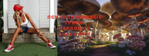 MDMA Дмитровск