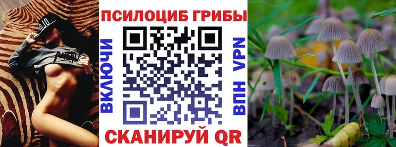 Купить где  Йошкар-Ола  Псилоцибиновые грибы Cubensis 